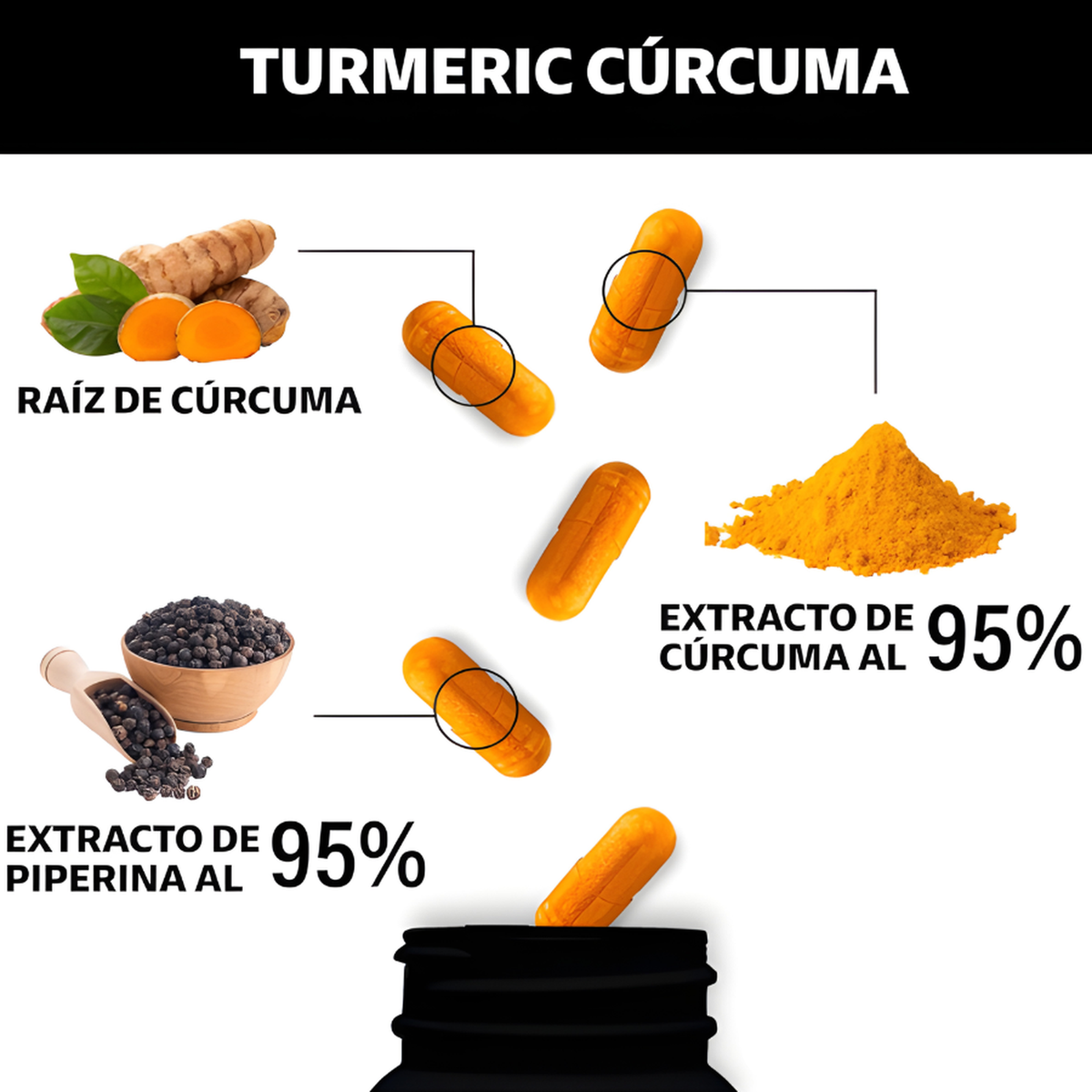 Raíz de cúrcuma, extracto al 95% y extracto de pimienta negra al 95%